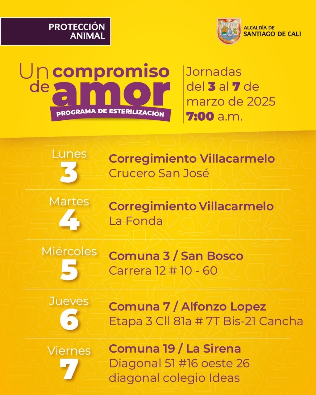 Un Compromiso de Amor continúa con jornadas gratuitas de esterilización en Cali Un Compromiso de Amor continúa con jornadas gratuitas de esterilización en Cali