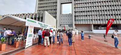 Regresa el 'Papayazo Tributario' para las multas de tr&aacute;nsito