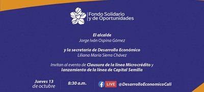 Fondo Solidario y de Oportunidades lanzar&aacute; l&iacute;nea de &lsquo;Capital Semilla&rsquo;