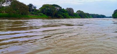 Alcald&iacute;a de Cali declara &lsquo;alerta naranja&rsquo; tras aumentar nivel del r&iacute;o Cauca