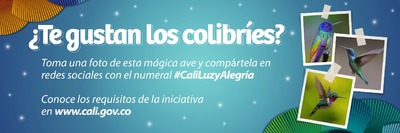 Reconocimiento a las mejores fotos de colibr&iacute;es tomadas en Cali har&aacute; la Alcald&iacute;a