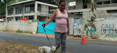 Animales tienen derechos y los seres humanos obligaciones y tareas con ellos: Ospina