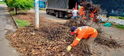Fundaciones forestales retiraron 80 toneladas de residuos vegetales de corredores viales