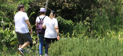 Semana de recorrido ambiental en el &ldquo;Coraz&oacute;n de Pance&rdquo;