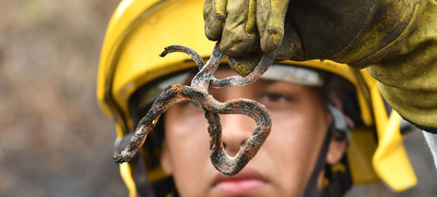Bomberos le siguen el rastro a la &lsquo;huella&rsquo; criminal del incendio en Cristo Rey