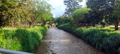 El r&iacute;o Cali presenta un &Iacute;ndice de Calidad de Agua &lsquo;aceptable&rsquo;: Dagma