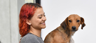 Perros adultos buscan la oportunidad de un nuevo hogar