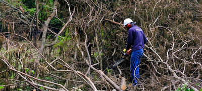 Avanza adecuaci&oacute;n de terreno donde se construir&aacute; nuevo parque de huertas urbanas