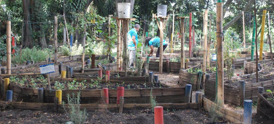 Huertas urbanas, ejemplo de seguridad alimentaria en Cali