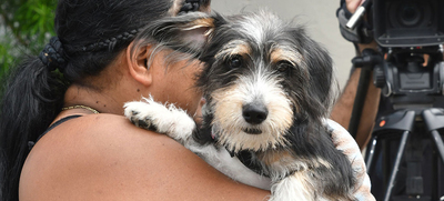 Esterilizar: un acto de amor por los animales de compa&ntilde;&iacute;a