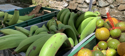 CIEC: baja en inflaci&oacute;n alivia el costo de la canasta familiar de cale&ntilde;os