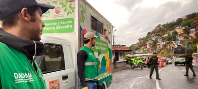 Dagma hace pedagog&iacute;a y ejerce autoridad para que en el &lsquo;Petronio&rsquo; no se comercialicen especies de fauna silvestre
