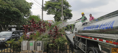 Avanza el mantenimiento de jardines en Cali