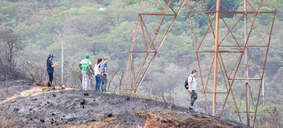 Despu&eacute;s de los incendios forestales no se pueden hacer siembras inmediatamente