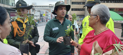 Cali es ejemplo en campa&ntilde;a nacional de protecci&oacute;n de la palma de cera