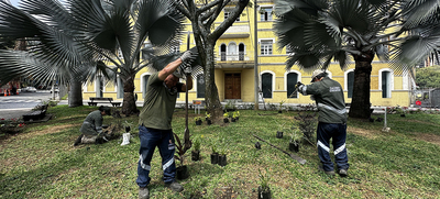 Embelleciendo a Cali: Dagma empez&oacute; la siembra de 100 plantas en el Parque El Pe&ntilde;&oacute;n