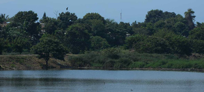 Cali, &lsquo;Capital Pac&iacute;fica de Colombia&rsquo;, celebrar&aacute; el &lsquo;D&iacute;a del Medio Ambiente&rsquo; con programaci&oacute;n especial en el humedal Charco Azul