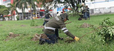 Participa en las siembras masivas de &aacute;rboles y ayuda a fortalecer los bosques urbanos de &lsquo;Cali, Capital Pac&iacute;fica de Colombia&rsquo;