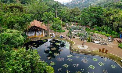 El Jard&iacute;n Bot&aacute;nico de Cali: Un oasis de biodiversidad esencial para la COP16