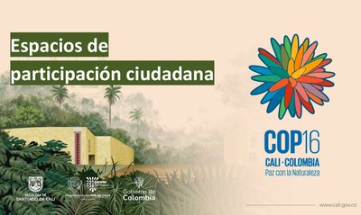 Alcald&iacute;a de Cali convoca a artistas, emprendedores, gestores culturales y productores rurales a participar en Circuito de la Biodiversidad de la COP16
