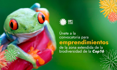 Convocatoria para emprendedores en la COP16: &iexcl;&Uacute;nete a la Feria de Emprendimiento y Mercados Campesinos de la zona extendida de la biodiversidad!