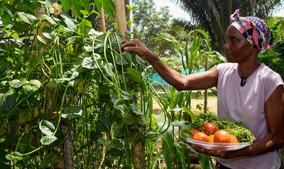 Nuestros comedores comunitarios son territorios de inclusi&oacute;n social y amor por el medio ambiente