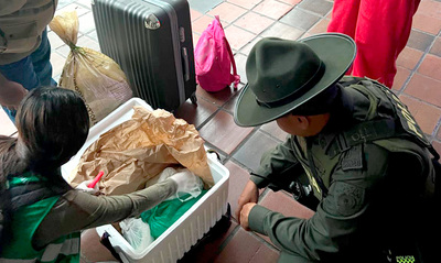 En operativo contra la comercializaci&oacute;n y tr&aacute;fico de fauna y flora silvestre, Dagma y Polic&iacute;a Ambiental incautan carne de armadillo