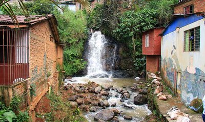 Cali es ejemplo global en sostenibilidad: proyecto de recuperaci&oacute;n de h&aacute;bitat en la Comuna 20 gan&oacute; un reconocimiento internacional