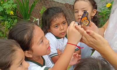 Un aula viva: la conservaci&oacute;n de mariposas en la Normal Superior Farallones de Cali