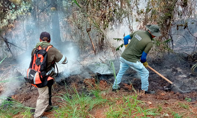 Dagma inici&oacute; labores para recuperar &aacute;reas afectadas por los incendios  forestales en Los Andes