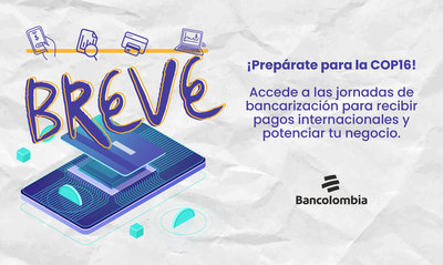 Prep&aacute;rate para la COP16: participa de &lsquo;Breve&rsquo; y aprende a recibir pagos internacionales