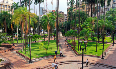 A partir del 10 de octubre, el centro de Cali se convierte en zona  peatonal y epicentro de biodiversidad