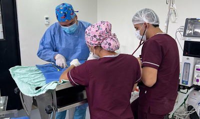 La UAEPA anuncia jornadas de esterilizaci&oacute;n gratuita en diferentes comunas y corregimientos de Cali
