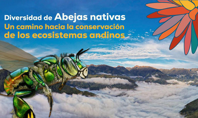 Con panel sobre las abejas nativas y su rol en la conservaci&oacute;n de los ecosistemas andinos, contin&uacute;a este lunes agenda acad&eacute;mica COP16