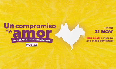 Gran jornada masiva de esterilizaci&oacute;n en Santiago de Cali: &iexcl;Vamos por el r&eacute;cord nacional!