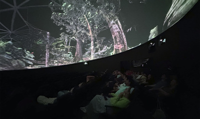 DOMO lleno en el 16 Festival Internacional de  Cine de Cali