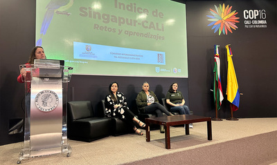 Cali se destaca en el &lsquo;&Iacute;ndice de Biodiversidad Urbana&rsquo; o &lsquo;&Iacute;ndice de Singapur&rsquo; con importantes avances en sostenibilidad