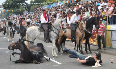 Alcald&iacute;a de Cali aclara que no habr&aacute; cabalgata en la Feria de Cali 2024
