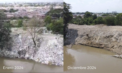 M&aacute;s de veintinueve mil metros cuadrados del jarill&oacute;n del r&iacute;o Cauca han sido recuperados ambientalmente