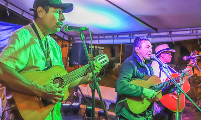 Progr&aacute;mese con la &lsquo;Feria Rural y Comunera&rsquo; y el &lsquo;Encuentro de Mel&oacute;manos y Coleccionistas&rsquo;