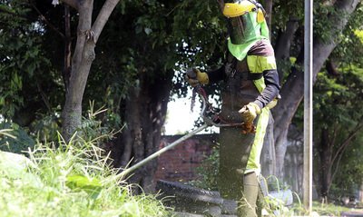 12 millones de metros cuadrados de &aacute;reas verdes se est&aacute;n atendiendo durante el primer ciclo de corte de c&eacute;sped en el 2025