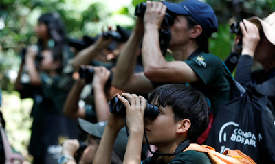 Abierta convocatoria para stands comerciales de la Colombia Birdfair 2025 en la Plaza de Cayzedo: conoce los t&eacute;rminos e inscr&iacute;bete