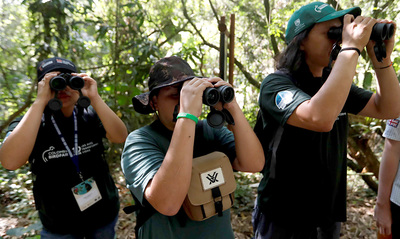 Inscr&iacute;bete gratis a los talleres, gu&iacute;as y salidas a pajarear en el marco de la Colombia Birdfair 2025