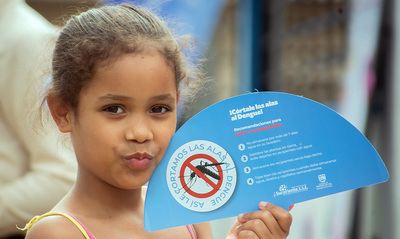 Cali se dirige a canal end&eacute;mico de dengue, manteniendo las medidas preventivas y la estabilidad de los casos
