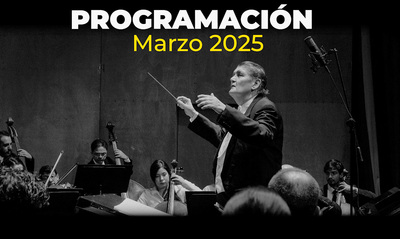 Vive los cl&aacute;sicos: m&uacute;sica, ballet y percusi&oacute;n en el Teatro Municipal