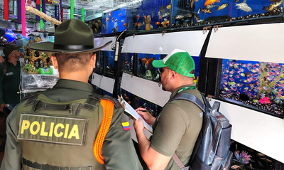 Dagma y Polic&iacute;a Ambiental realizan visitas de inspecci&oacute;n y control al  tr&aacute;fico de fauna
