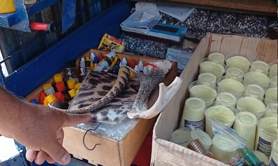 Autoridades ambientales incautan piel y caparaz&oacute;n de animales silvestres en el centro de Cali