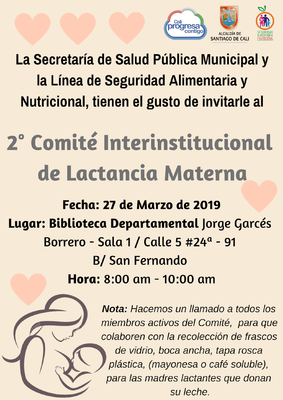 2&deg; Comit&eacute; Interinstitucional de lactancia materna 2019