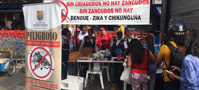 En 2022, Cali redujo los casos de infecci&oacute;n y muerte por dengue