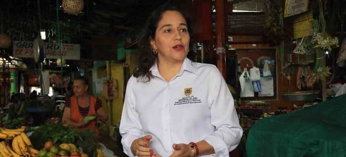 &iquest;C&oacute;mo reemplazar y conservar alimentos de la canasta familiar?